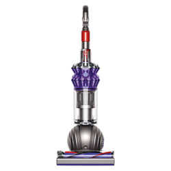 Dyson Small Ball Animal Upright Cylinder Vacuum Cleaner